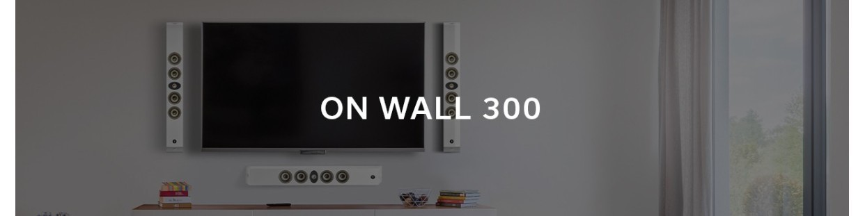 ON WALL 300
